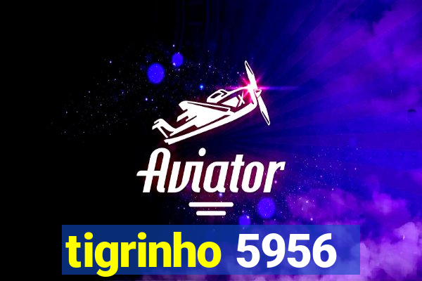 tigrinho 5956